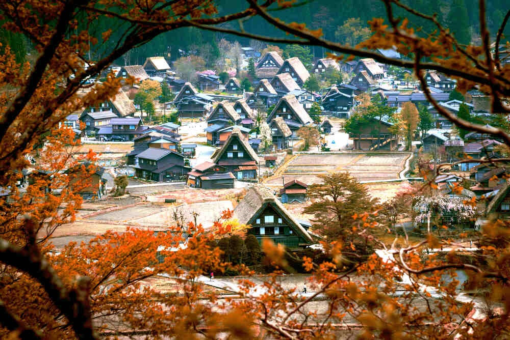 ชิราคาวาโกะ หมู่บ้านโบราณญี่ปุ่น